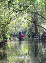 Backwaters 1