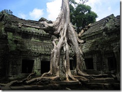 Ta Prohm